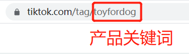 图片[2]-TikTok+Shopify+亚马逊联盟变现首单案例分享-知否