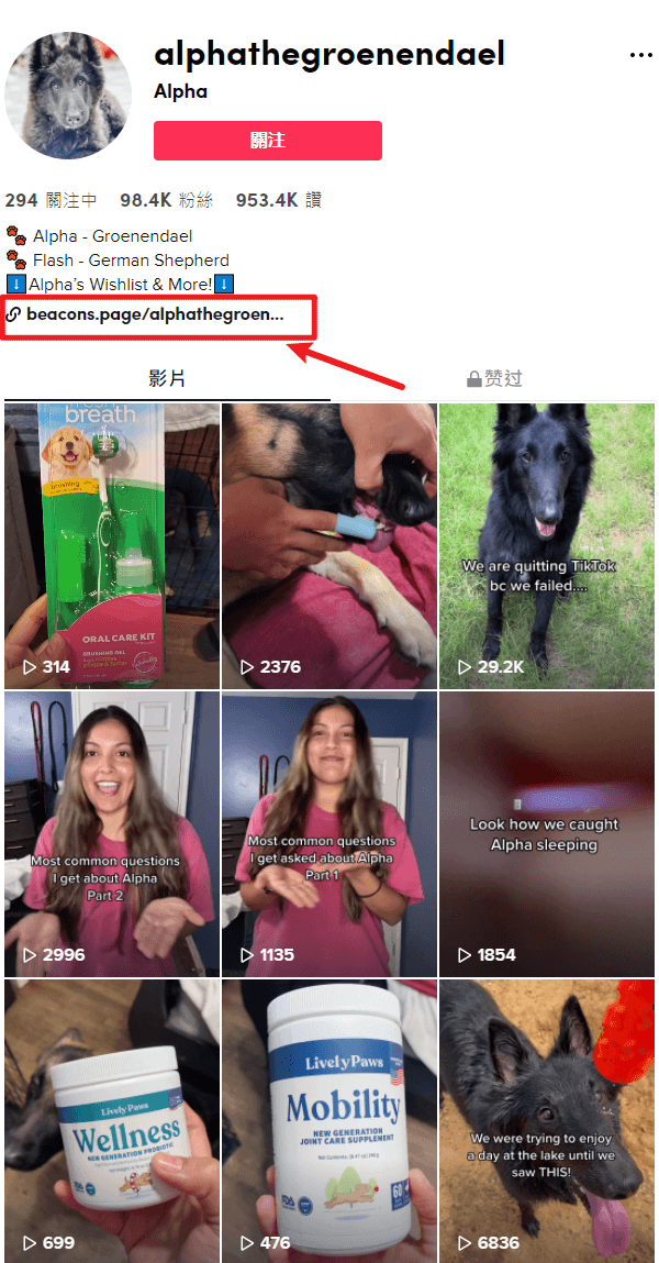 图片[4]-TikTok+Shopify+亚马逊联盟变现首单案例分享-知否